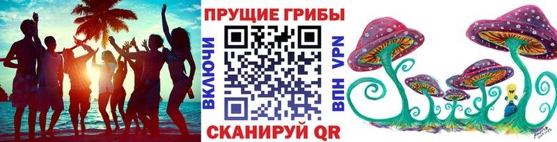 Псилоцибиновые грибы прущие грибы  KRAKEN рабочий сайт  Медногорск 